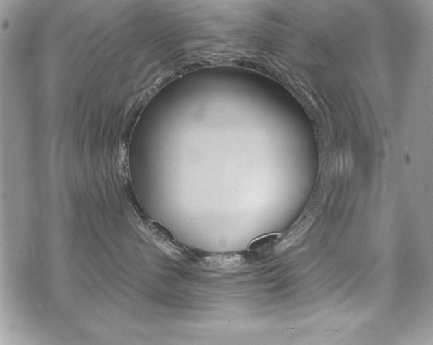 X0000071960480200607071017