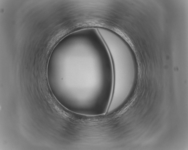 X0000071960481200607071016