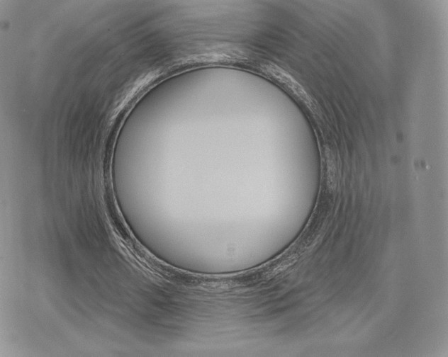 X0000071960482200607071016