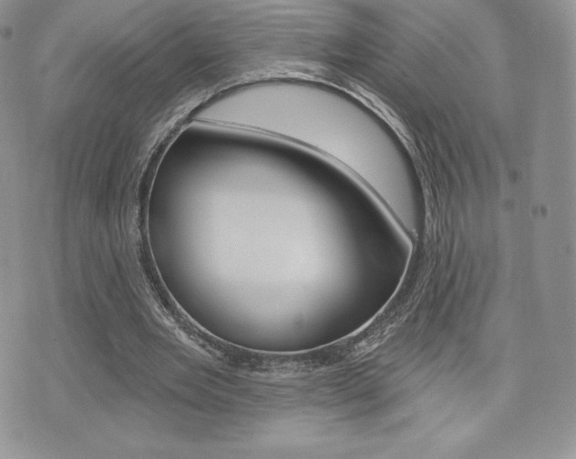 X0000071960485200607071016