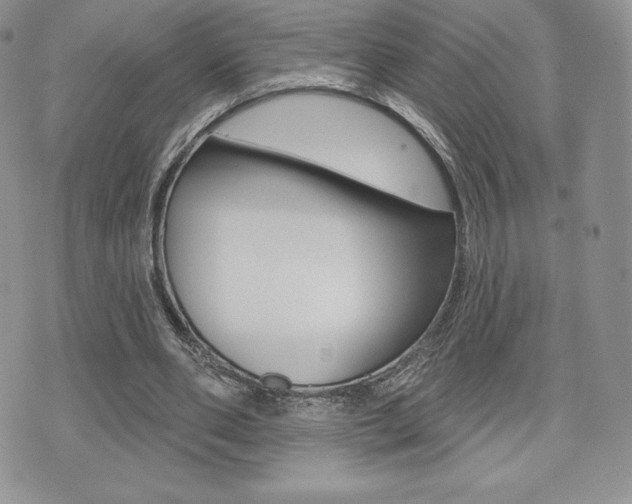 X0000071960486200607071016