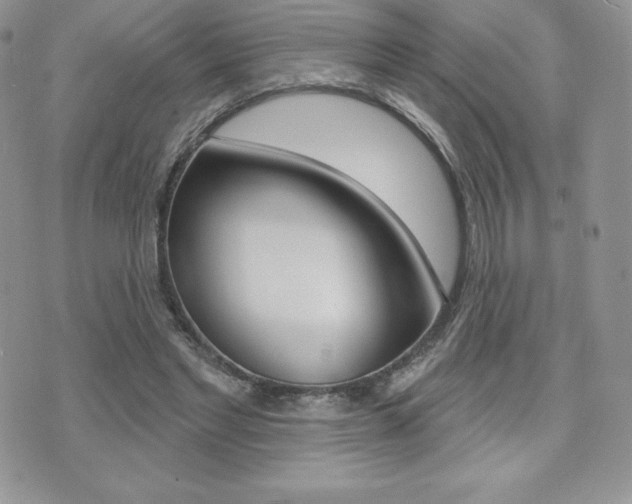 X0000071960493200607071016