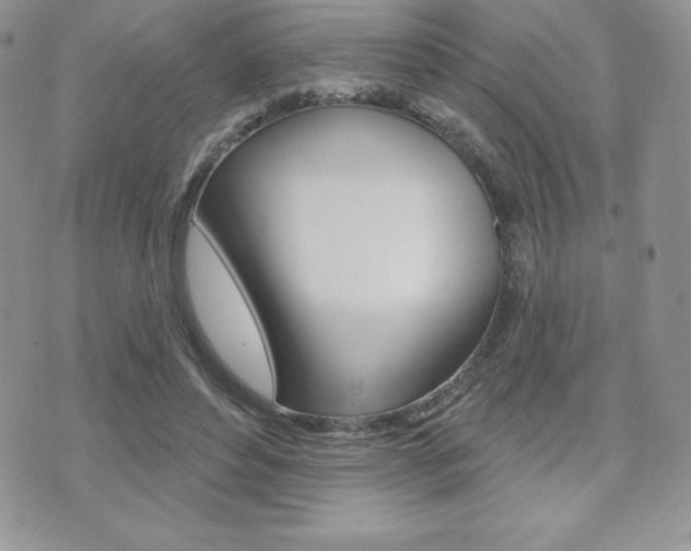 X0000071960496200607071016
