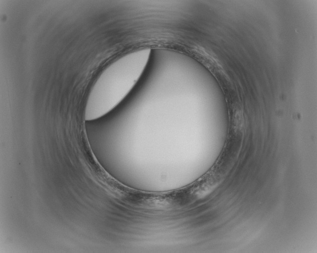 X0000071960498200607071016