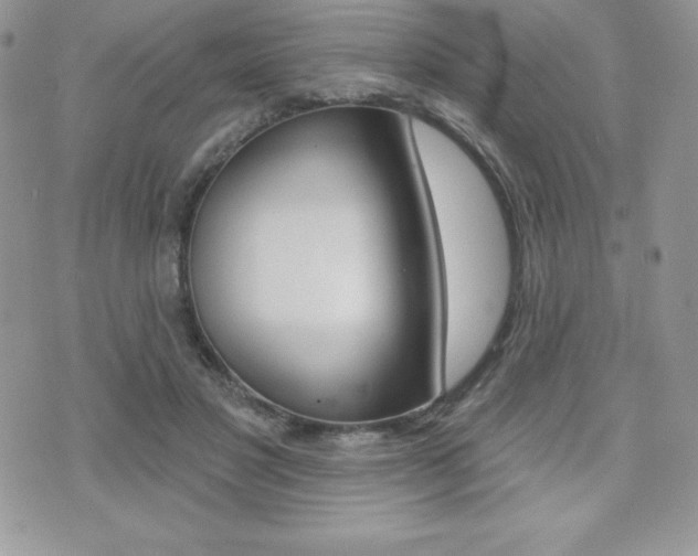 X0000071960501200607071016