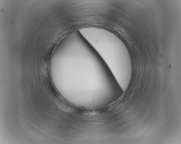 X0000071960503200607071016