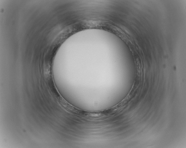 X0000071960507200607071016
