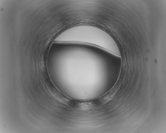 X0000071960508200607071016
