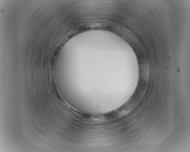 X0000071960510200607071016