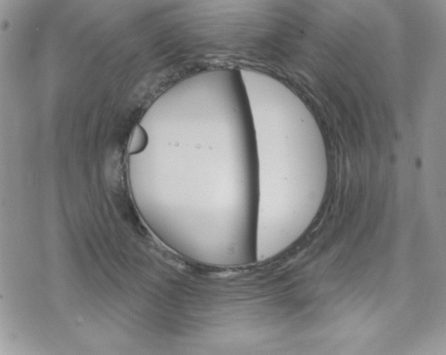 X0000071960511200607071016