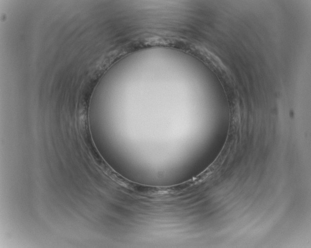 X0000071960513200607071016