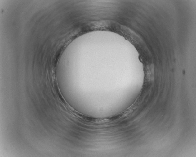 X0000071960514200607071016