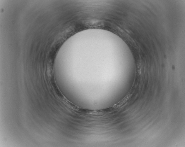 X0000071960515200607071016