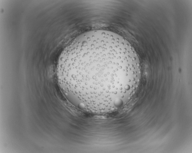X0000071960519200607071016