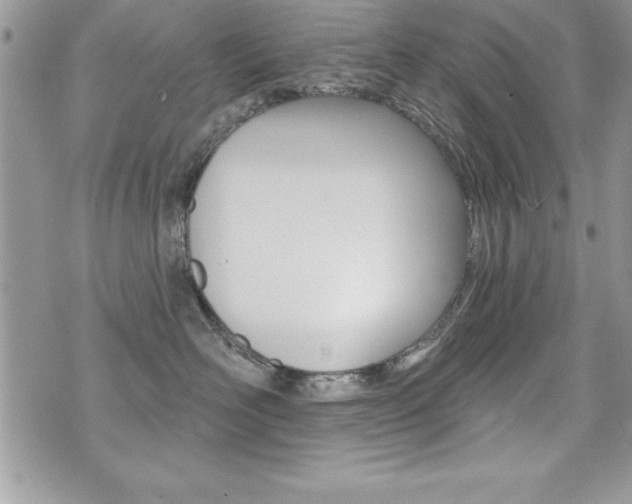 X0000071960526200607071016