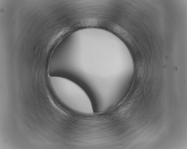 X0000071960538200607071015