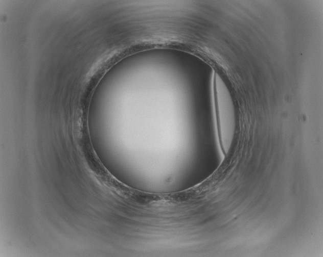 X0000071960544200607071015
