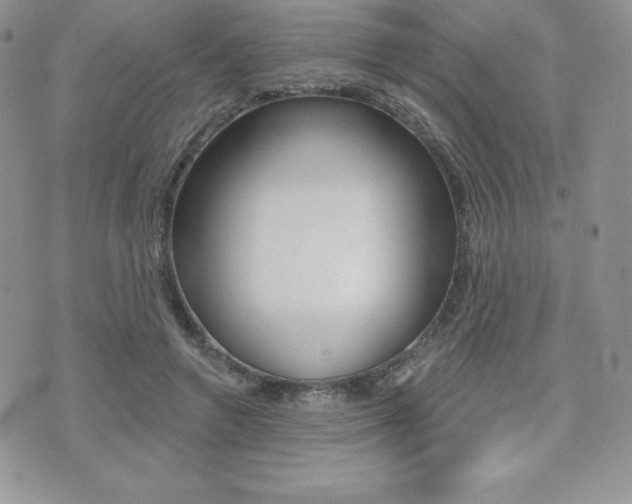 X0000071960546200607071015