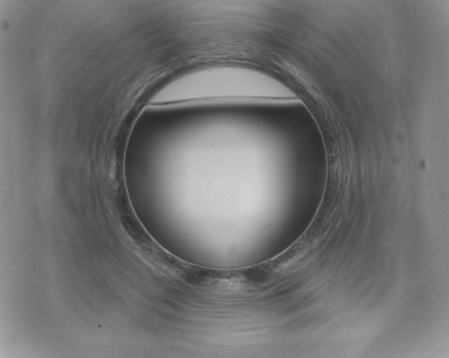 X0000071960548200607071015