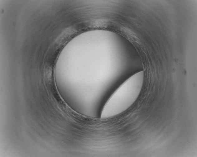 X0000071960550200607071015