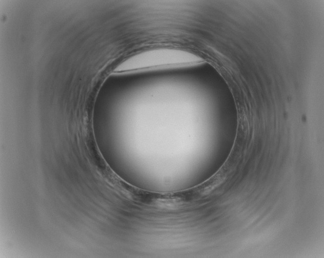 X0000071960556200607071015