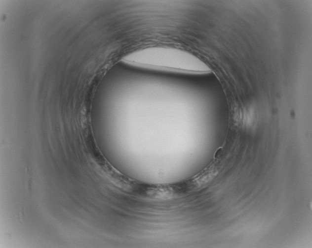 X0000071960559200607071015
