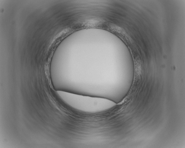 X0000071960591200607071015