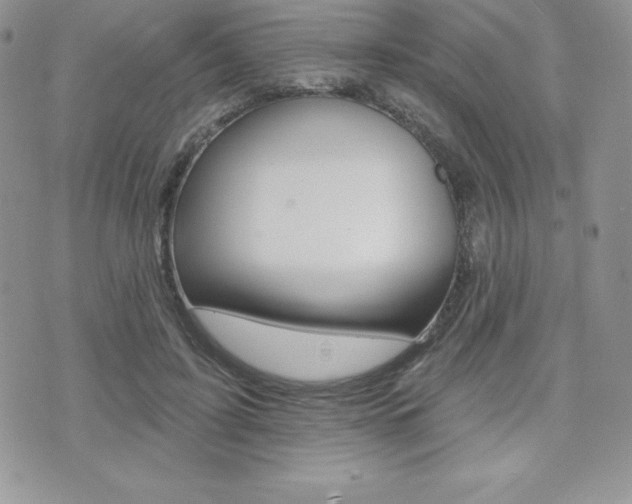 X0000071960595200607071015