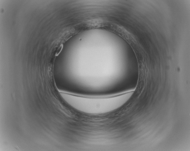 X0000071960601200607071014