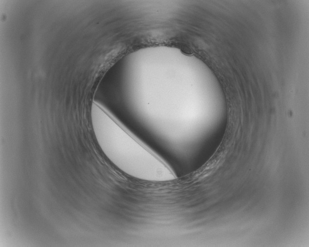 X0000071960624200607071014