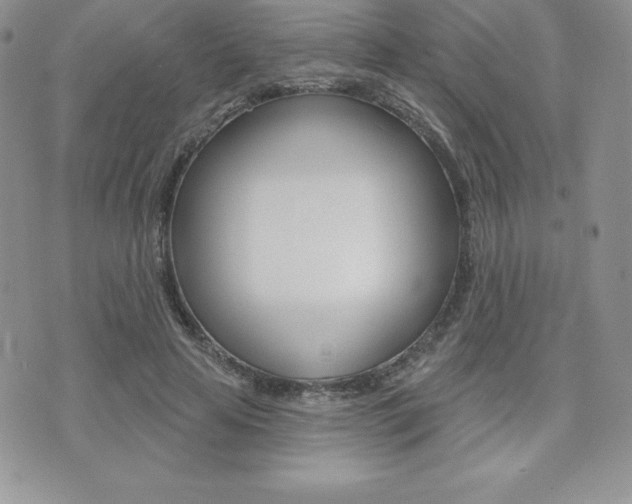 X0000071960641200607071014