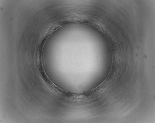 X0000071960642200607071014