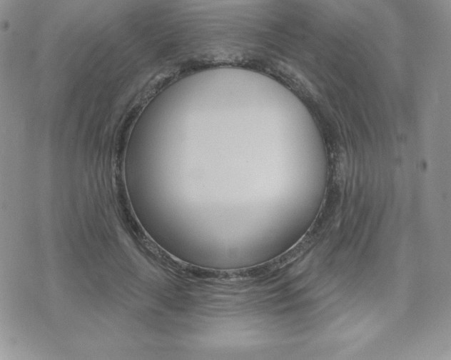 X0000071960643200607071014
