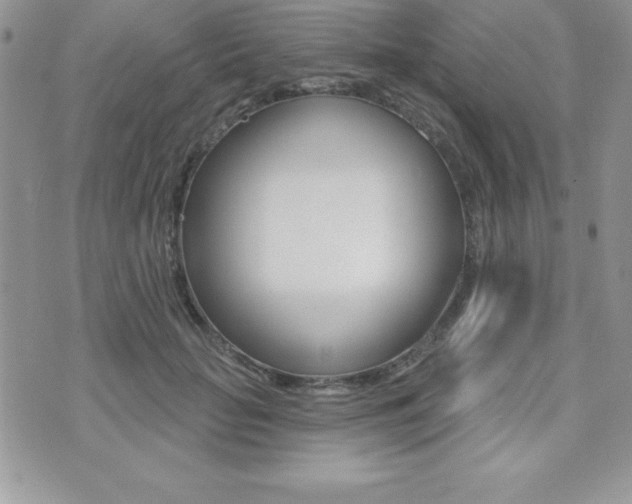 X0000071960653200607071014