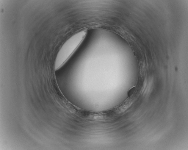 X0000071960655200607071014