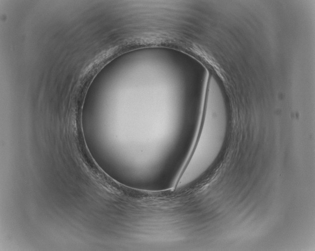 X0000071960681200607071013