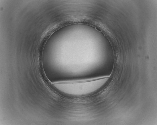 X0000071960685200607071013