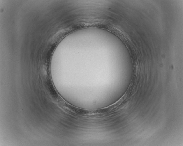 X0000071960691200607071013