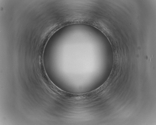 X0000071960692200607071013