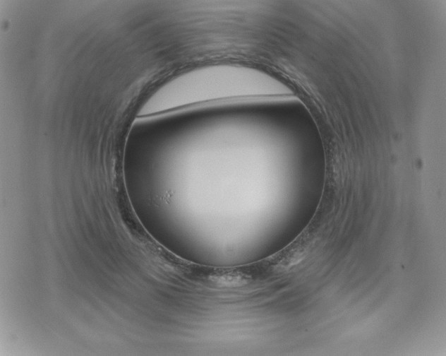 X0000071960693200607071013