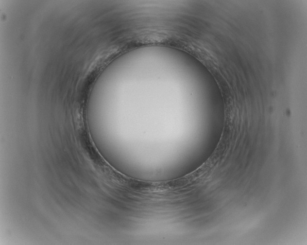 X0000071960743200607071012