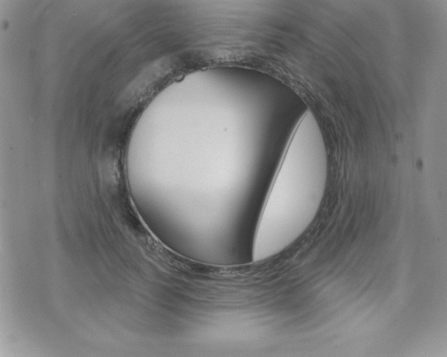 X0000071960746200607071012