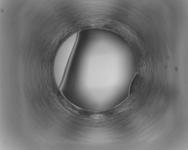X0000071960748200607071012