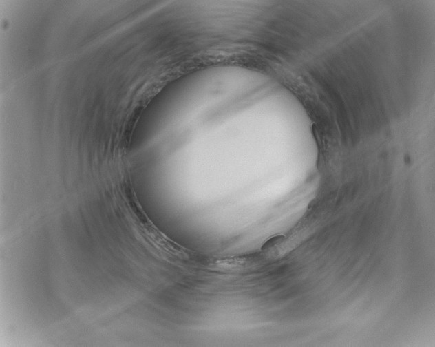 X0000071960758200607071012
