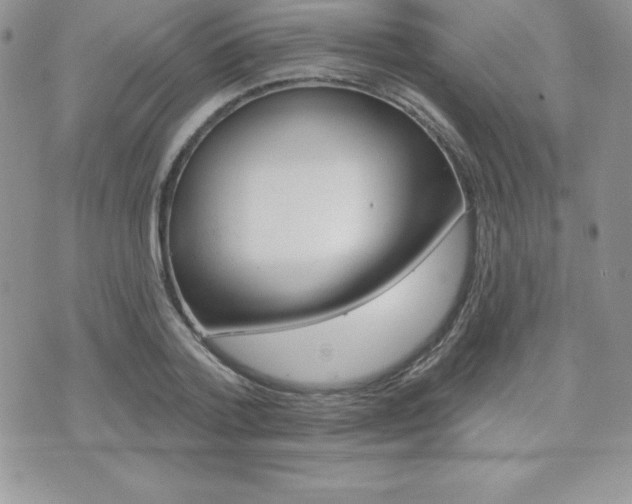 X0000071960788200607071011