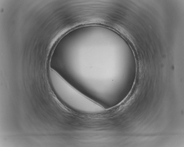 X0000071960789200607071011