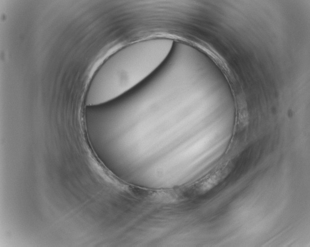 X0000071960806200607071011