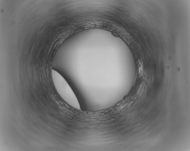 X0000071960819200607071010