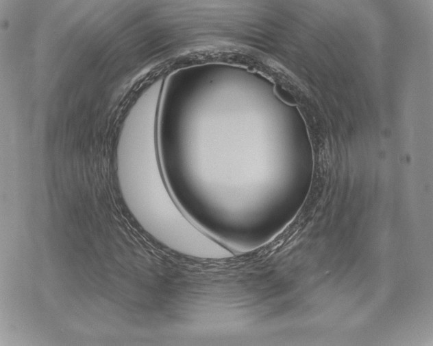 X0000071960822200607071010