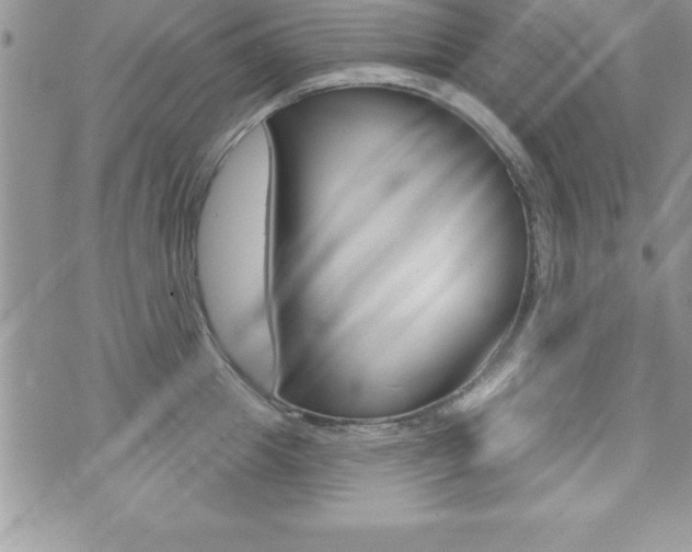 X0000071960857200607071011
